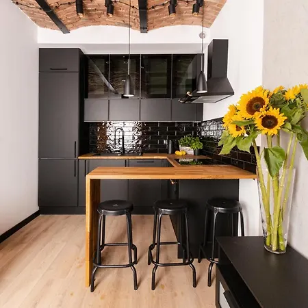 Kobiela Luxury Ktw Center 4* Katowice